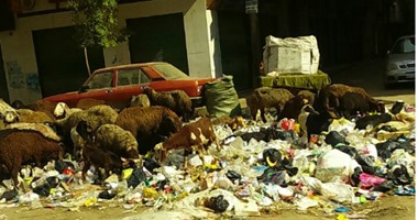 "اليوم السابع واتس آب": تكدس القمامة بشارع مستشفى الصدر فى العمرانية