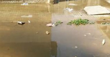 "واتس آب اليوم السابع": شوارع التجمع الأول تغرق فى مياه الصرف الصحى