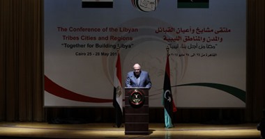 سامح شكرى: مصر لن تتوانى فى دعم الأشقاء الليبيين للوصول لبر الأمان