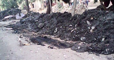بالصور..قراء"اليوم السابع": القمامة بقرية جمجرة ببنها متراكمة منذ 6 سنوات