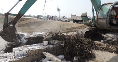حملة لإزالة المخالفات الزراعية والتعديات على الموارد المائية ببورسعيد