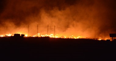 حريق هائل يلتهم أشجار النخيل بكورنيش أسوان والدفع بـ9 سيارات إطفاء