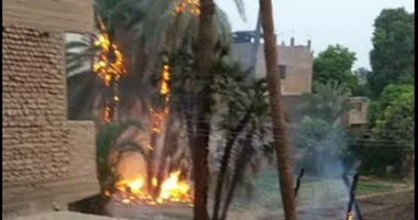 "واتس آب اليوم السابع": بالصور.. حريق بقرية الحراجية مركز قوص فى قنا