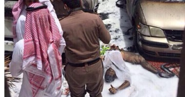 السعودية تعلن القبض على متورط فى حادثتى تفجير العنود والقديح