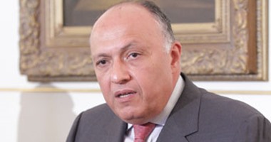وزير الخارجية يلتقى غدا أعضاء لجنة متابعة مؤتمر القاهرة للمعارضة السورية