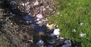"واتساب اليوم السابع": قرية أميوط بالغربية تعانى من انتشار القمامة