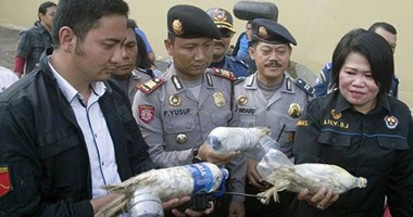 شرطة إندونيسيا تكشف النقاب عن مؤامرة لتفجير القصر الرئاسى 