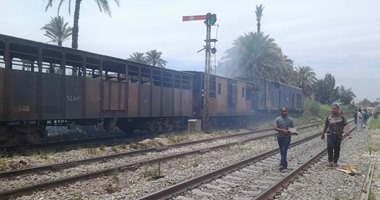 حريق محدود فى نباتات بجوار قطار متوقف بالبلينا دون توقف حركة السكة الحديد