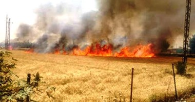 السيطرة على حريق نشب ببعض المخلفات الزراعية بجوار ترعة فى أسيوط