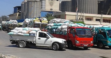 وزارة الزراعة: استلام 4 ملايين و 711 ألف طن من القمح والتوريد مستمر