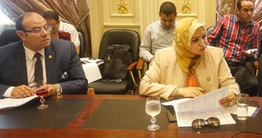 بالصور.. لجنة القوى العاملة: مصر ليست ضمن القائمة السوداء لمنظمة العمل الدولية