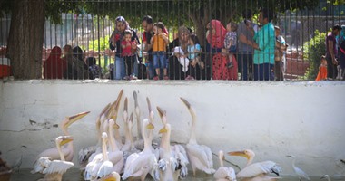 بالصور.. تحصين 8 حدائق للحيوان ضد مرض أنفلونزا الطيور