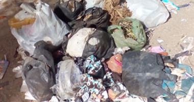عمال القمامة بحى غرب شبرا الخيمة ينهون إضرابهم عن العمل