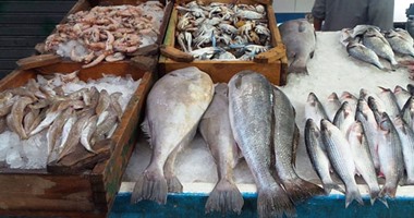 التموين تكثف حملاتها وتضبط 68 طن أسماك ولحوم منتهية الصلاحية بالأسواق