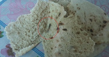 مواطن يعثر على "دودة" فى رغيف خبز فى شبرا مصر