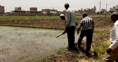 إزالة تعديات على 85 فدان أملاك دولة بالخارجة و145 مخالفة لزراعة الأرز