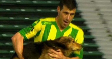 بالفيديو.. كلب يقتحم مباراة بالدوري الأرجنتيني