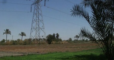 89 ألف و772 حالة تعدى على الأراضى الزراعية بكفر الشيخ 