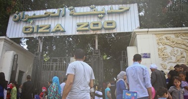 حدائق الحيوان تفتح أبوابها للزوار والدب البنى يقضى العيد لأول مرة فى مصر