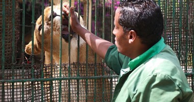 بالصور.. إقبال كبير من مواطنى الإسكندرية على حديقتى الحيوان وأنطونيادس