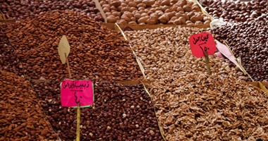 ضبط 8 طن ياميش رمضان فاسد ومحتكر للأرز فى القاهرة