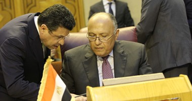 سامح شكرى يرأس أول مشاركة مصرية باجتماعات وزراء خارجية قمة العشرين