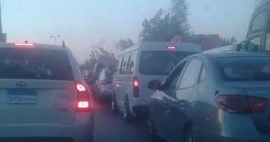 بالصور.. توقف حركة المرور بطريق "الإسكندرية الزراعى" بسبب تعطل مقطورة