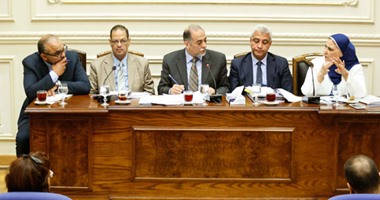 لجنة التضامن بالبرلمان: نقف ضد أى مؤسسة تتلقى تمويلًا لاستخدامه ضد المصريين