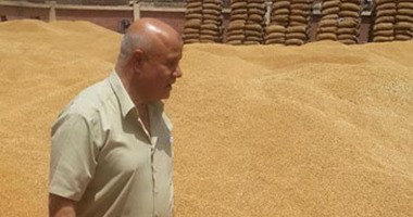 بالصور.. وكيل وزارة الزراعة بالغربية يتفقد شون القمح وزراعات القطن بالمحلة