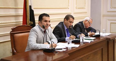 النائب محمد كمال: نرفع توصية للحكومة بإنشاء المجلس الأعلى للمشروعات الصغيرة