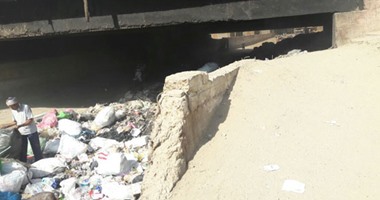 صحافة المواطن: شكوى من تراكم القمامة بمنطقة أرض اللواء أسفل كوبرى الدائرى