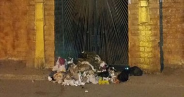 صحافة المواطن.. تراكم القمامة أمام قصر ثقافة البدرشين فى مشهد غير حضارى