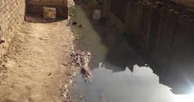 بالفيديو.. "نشوع" مياه أسفل المنازل فى إمبابة يهدد سلامتها