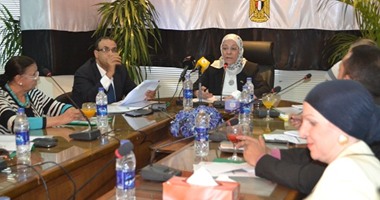 وزيرة القوى العاملة تلتقى جاليات 6 دول لنقل الصورة الحقيقة لمصر