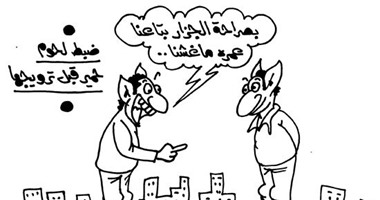 مزرعة حمير الفيوم فى كاريكاتير اليوم السابع