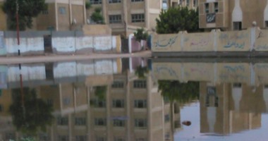 قارئ لـ"واتس آب اليوم السابع": قرية كفر حمادة بالشرقية تغرق فى مياه الصرف