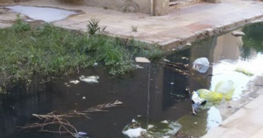 "واتس آب اليوم السابع": مياه الصرف الصحى تحاصر سكان الحى السادس بالشروق