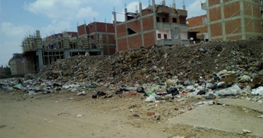 "واتس آب اليوم السابع": انتشار القمامة بقرية "شيبة النكارية" فى الشرقية