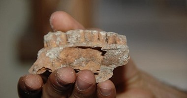 العثور على فك للرجل الأوروبى الأول يرجع إلى 40 ألف سنة