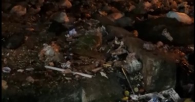 "واتس آب اليوم السابع": انتشار القمامة أمام مدرسة ثانوية فى "الوايلى"
