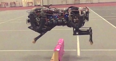 بالفيديو.. تطوير أول روبوت رباعى القوائم يستطيع القفز فوق الحواجز