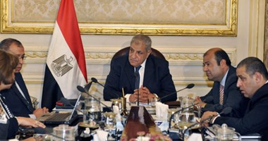 الحكومة تشكل لجنة من 4 وزراء لحل أزمة القطن المصرى