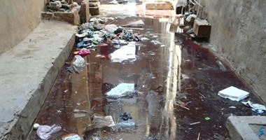 بالصور.. كارثة صحية بـ"المطرية" بعد غرق المنازل بدماء مجزر المدينة