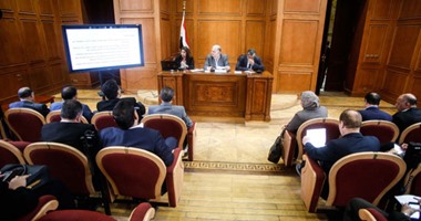 لجنة الطاقة والبيئة بالبرلمان تناقش ما أثير حول "حوت مارينا" الاثنين