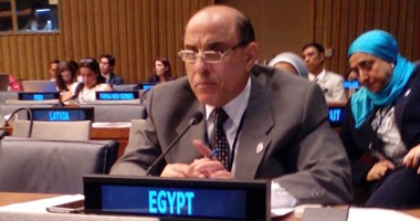 الأمين العام للقومى لشئون الإعاقة يستعرض جهود مصر لدعم ذوى الإحتياجات  أمام الأمم المتحدة