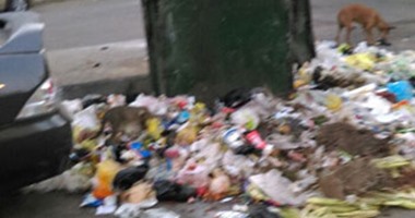 أهالى النخيل بالإسكندرية يشتكون من انتشار القمامة بشاطئ أكتوبر