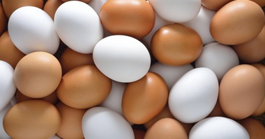 شاهد فى دقيقة.. قصة البيضة الأكثر شهرة على مواقع التواصل
