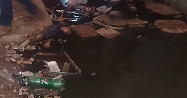 قارئ يشكو من انتشار مياه الصرف الصحى فى أحد شوارع عزبة النخل