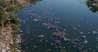 المواطنون يطالبون بتطهير ترعة المحمودية فى البحيرة من القمامة والمخلفات