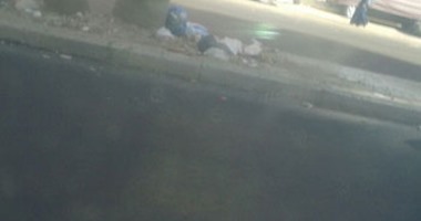 بالصور.. القمامة تحتل الجزيرة الوسطى فى شارع فيصل بالجيزة    